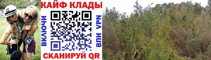 Сколько стоит Полтавская APVP  МЕТАМФЕТАМИН  MEGA ONION  Гашиш  Бошки Шишки 