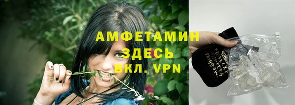 молекула духа Вязьма