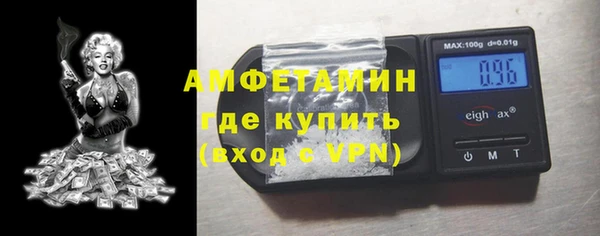 молекула духа Вязьма