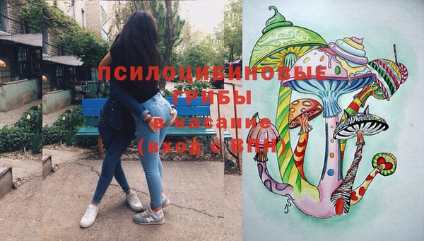 молекула духа Вязьма