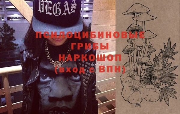 молекула духа Вязьма