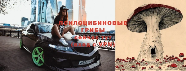таблы Вяземский