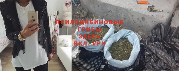 молекула духа Вязьма