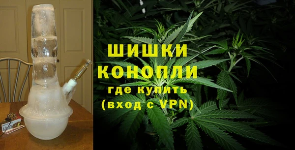 молекула духа Вязьма