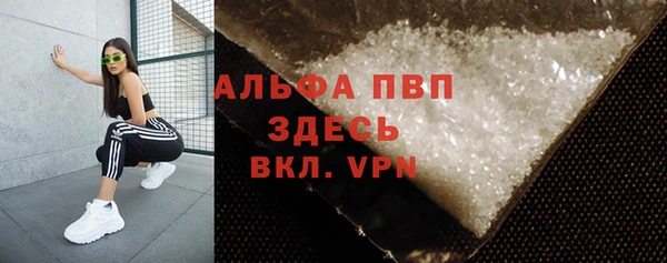 молекула духа Вязьма