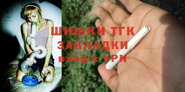 молекула духа Вязьма