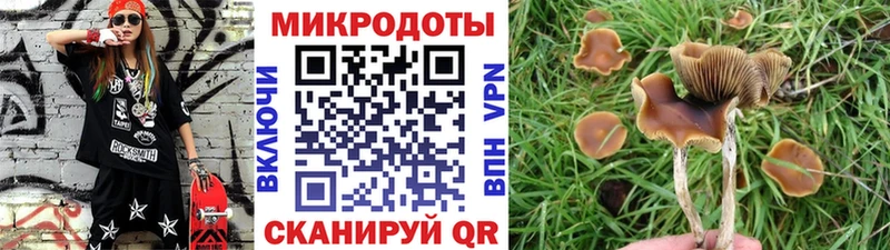 кракен сайт  Полтавская  Псилоцибиновые грибы Psilocybe 